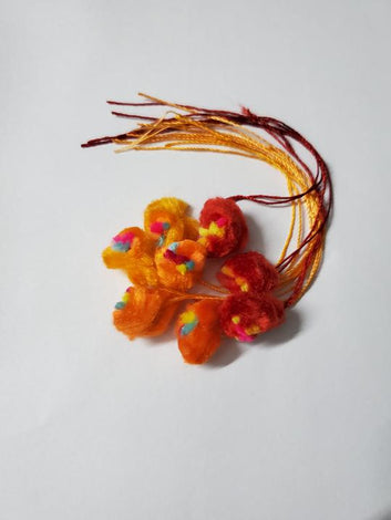Rakhi